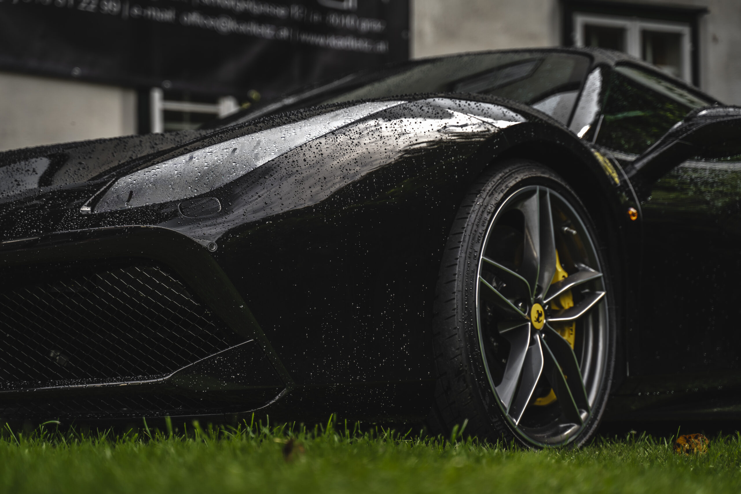 Festival Gallmannsegg-2